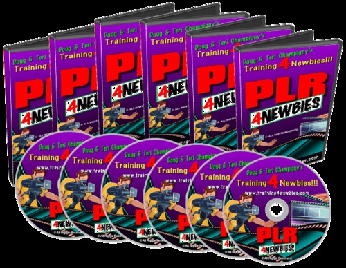 Product picture  PLR for Newbies-Video Series